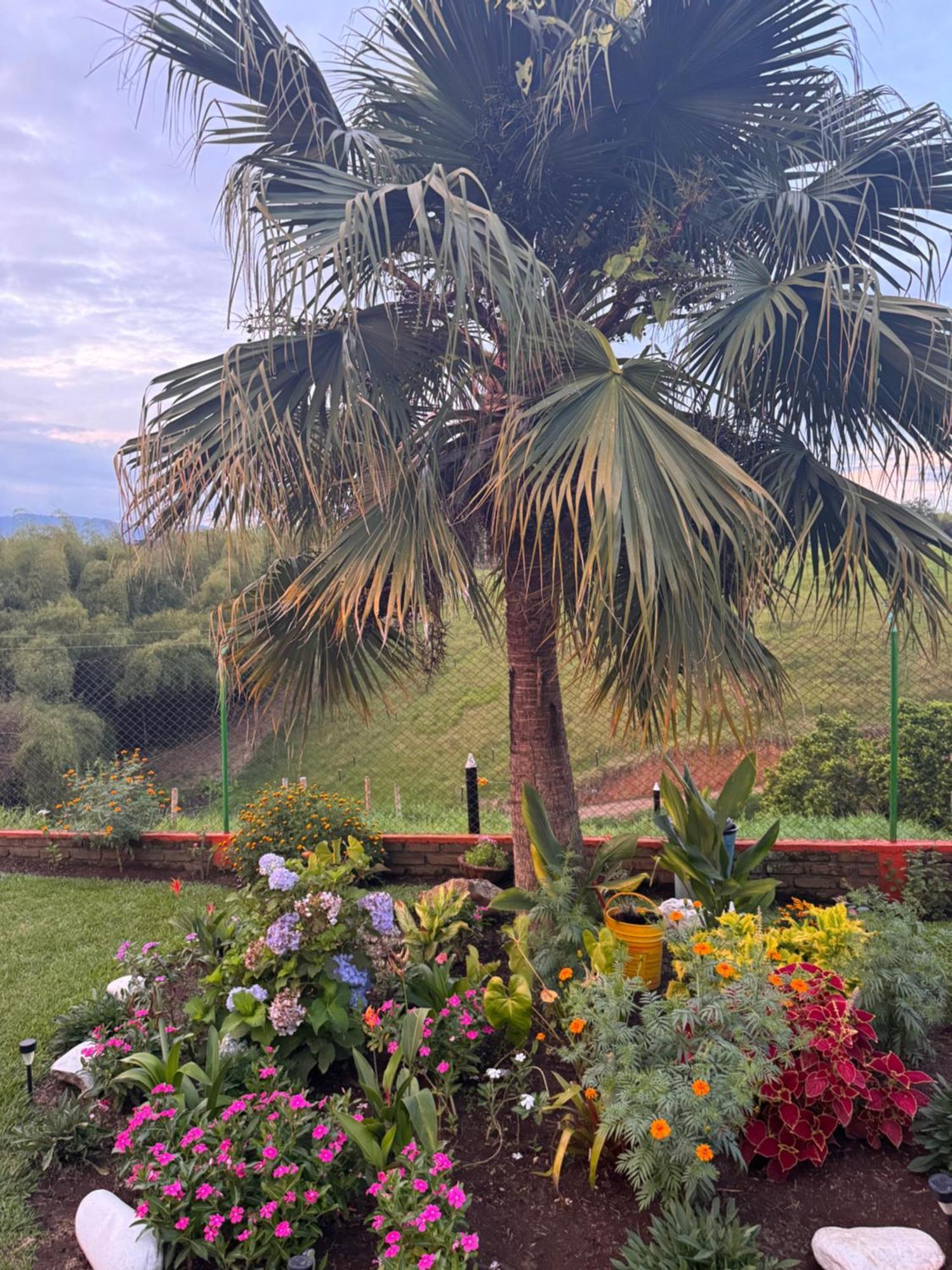 Finca La Gaviota Montenegro Exterior foto